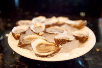 Oysters May 2 2026-7472