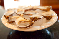 Oysters May 2 2026-7473