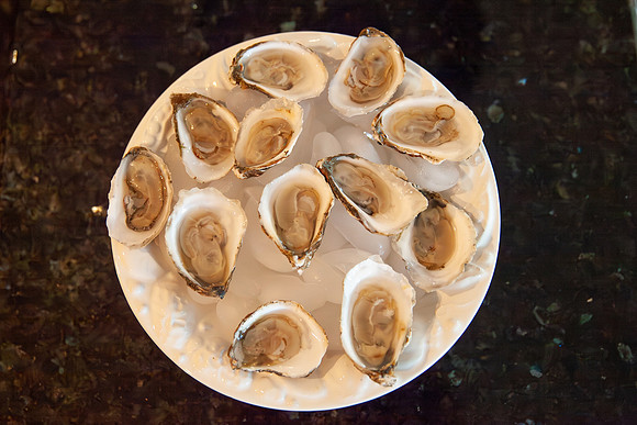 Oysters May 2 2026-7476
