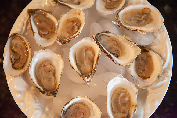 Oysters May 2 2026-7477