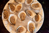 Oysters May 2 2026-7478